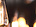 a group of light bulbs
